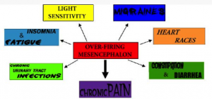 mesancephalondiagram-300x141